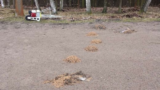 Aktivita krtka obecného na nově zrekonstruované ploše fotbalového hřiště sousedícím se smíšeným lesem.